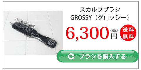 シャンプーブラシGROSSYの商品写真 希望小売価格　6,300円(税込) 