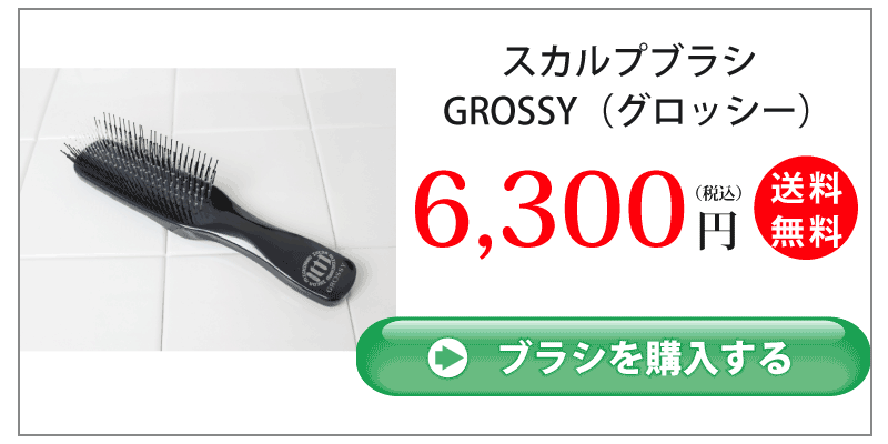 スカルプブラシGROSSY_6,300円_購入ボタン