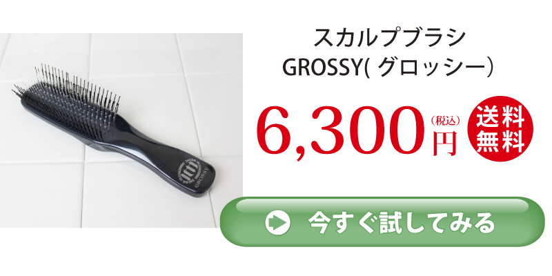 スカルプブラシGROSSY_6,300円_購入ボタン