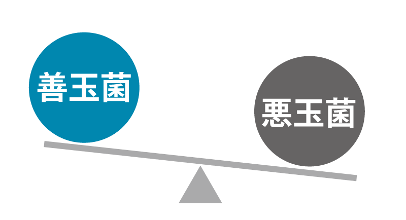 善玉菌と悪玉菌のバランスを描いたイラスト