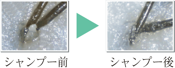 使用前後の比較写真