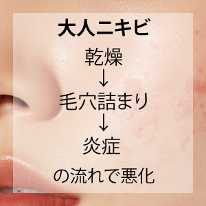 大人ニキビの原因説明図