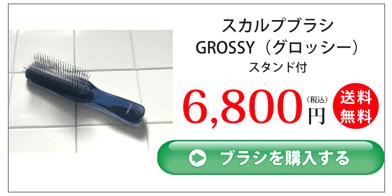 スカルプブラシGROSSY_6,800円_購入ボタン
